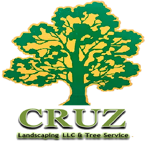 Cruz Landscaping